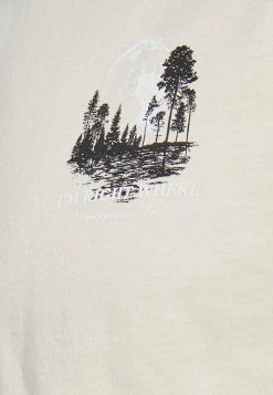 Pier One Hombre MOON SCENE GRAPHIC T-SHIRT - Camiseta Estampada - Grey -Ofertas Pier One Tienda 912a2900a0234519a2da74039184e96b